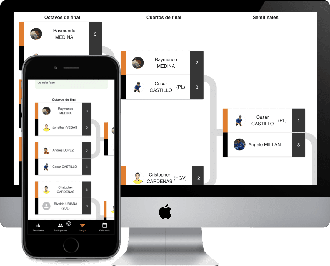 Vista del software MVP